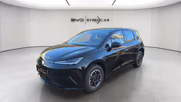 BYD DOLPHIN G 1 / 21