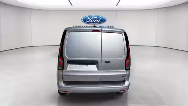 FORD TRANSIT CONNECT FGN 4 / 14