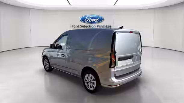 FORD TRANSIT CONNECT FGN 3 / 14