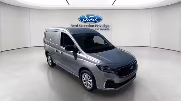 FORD TRANSIT CONNECT FGN 7 / 14