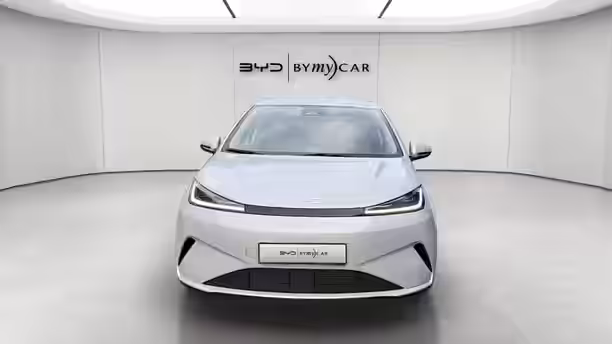 BYD DOLPHIN G 8 / 16