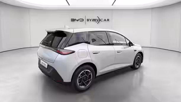 BYD DOLPHIN G 5 / 16