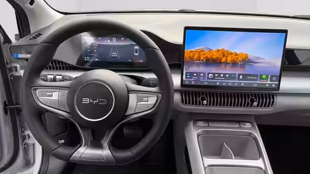 BYD DOLPHIN G 9 / 16
