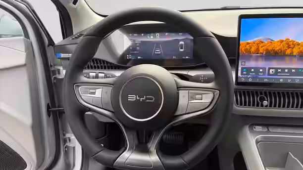 BYD DOLPHIN G 10 / 16