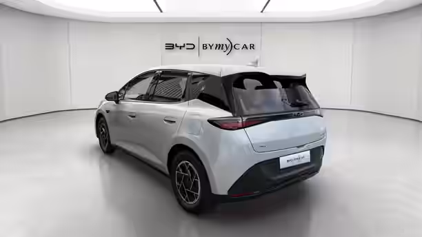 BYD DOLPHIN G 3 / 16