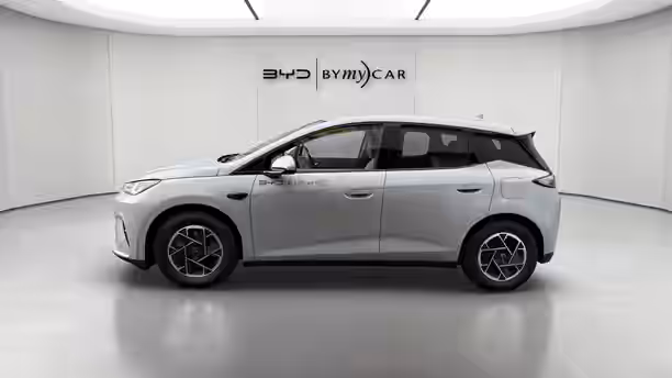 BYD DOLPHIN G 2 / 16