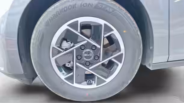 BYD DOLPHIN G 13 / 13