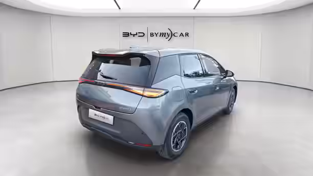 BYD DOLPHIN G 5 / 13