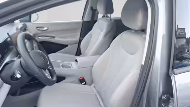 BYD DOLPHIN G 11 / 13