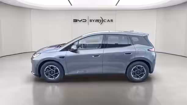 BYD DOLPHIN G 2 / 13