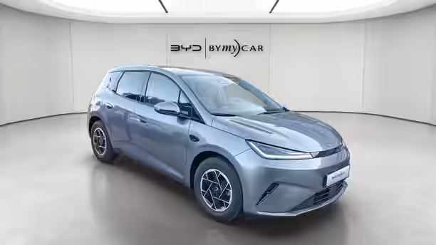 BYD DOLPHIN G 7 / 13