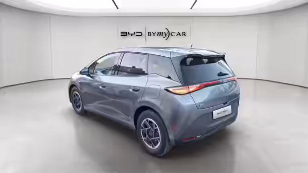 BYD DOLPHIN G 3 / 13