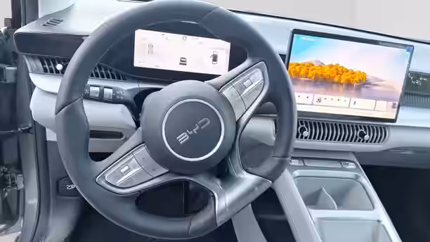 BYD DOLPHIN G 10 / 13