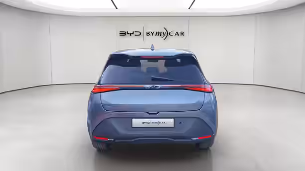 BYD DOLPHIN G 4 / 13