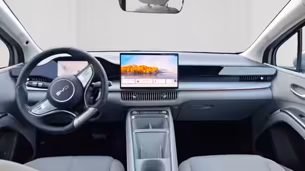 BYD DOLPHIN G 9 / 13