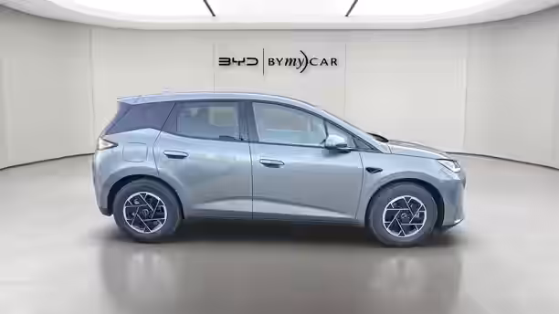 BYD DOLPHIN G 6 / 13