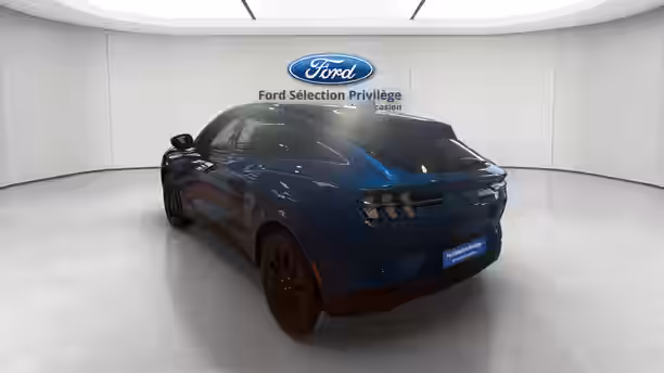 FORD MUSTANG MACH-E 3 / 13