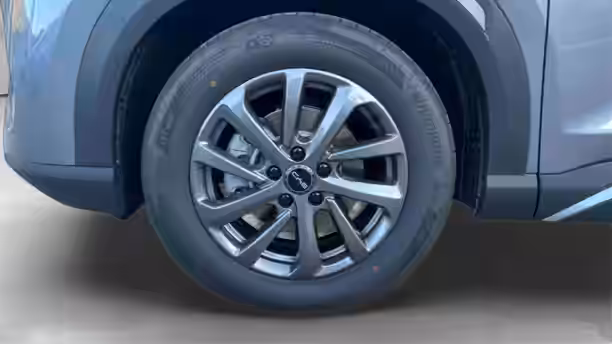 BYD ATTO 2 PHEV 9 / 16