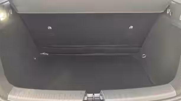 BYD DOLPHIN G 15 / 15