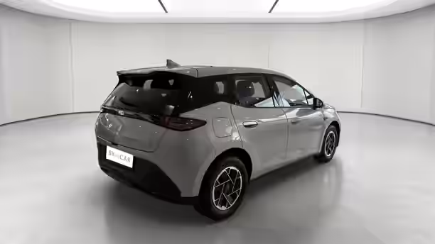 BYD DOLPHIN G 5 / 15