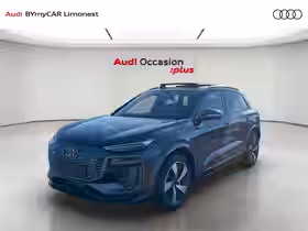 Q6 E-TRON S line 306 ch 100 kWh performance