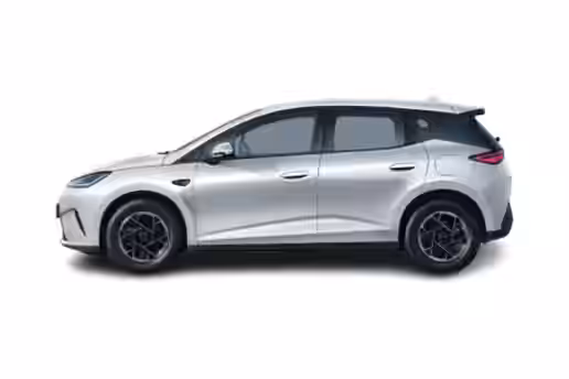 BYD DOLPHIN G 2 / 5
