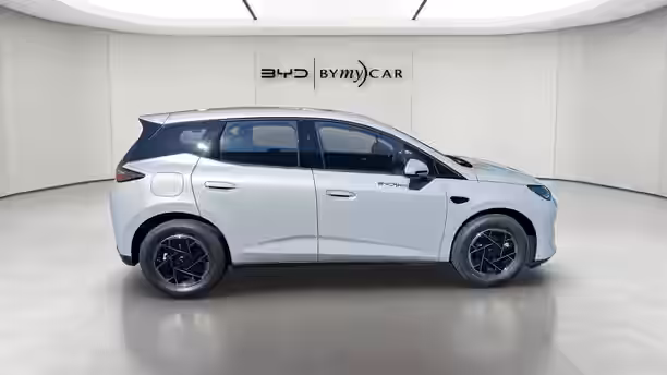 BYD DOLPHIN G 6 / 13