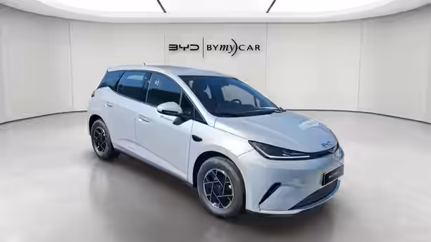 BYD DOLPHIN G 7 / 13