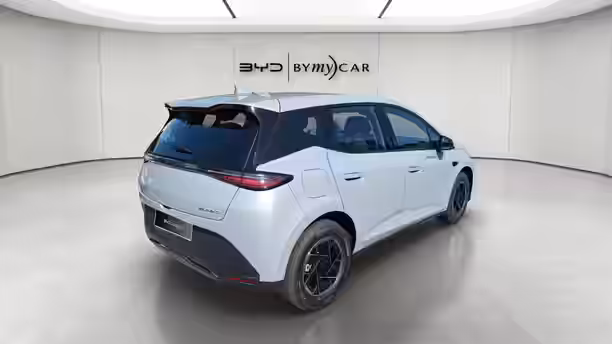 BYD DOLPHIN G 5 / 13