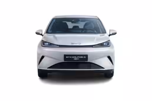 BYD DOLPHIN G 4 / 13