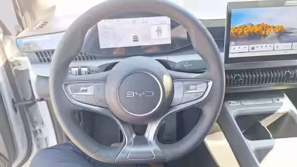 BYD DOLPHIN G 10 / 13