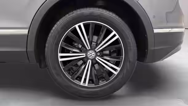 VOLKSWAGEN TIGUAN 19 / 31
