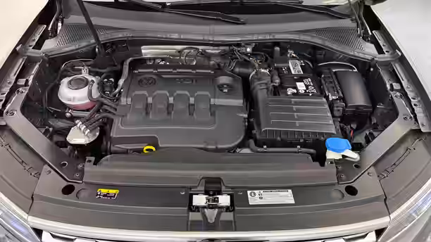 VOLKSWAGEN TIGUAN 20 / 31