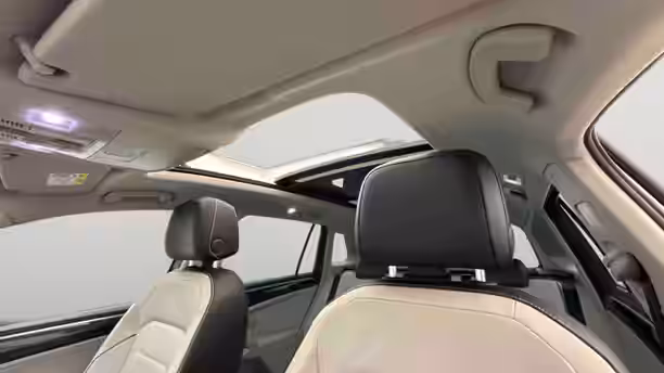 VOLKSWAGEN TIGUAN 21 / 31
