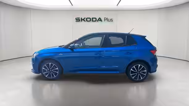 SKODA FABIA 2 / 25