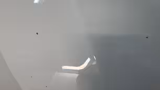 VOLKSWAGEN GOLF 35 / 38