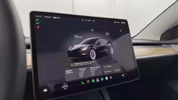 TESLA MODEL 3 25 / 39