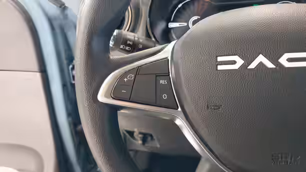 DACIA SPRING 17 / 21