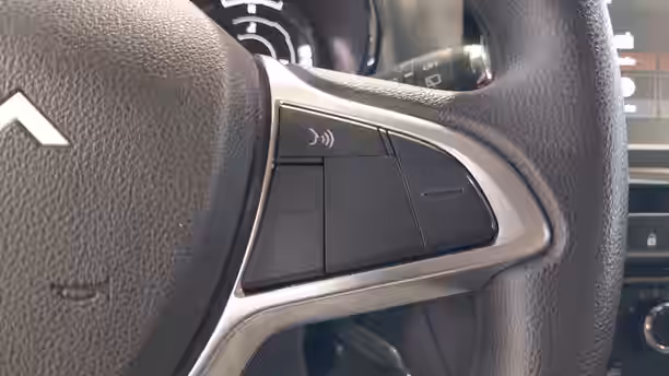 DACIA SPRING 19 / 21