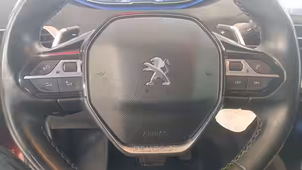 PEUGEOT 3008 BUSINESS 18 / 22