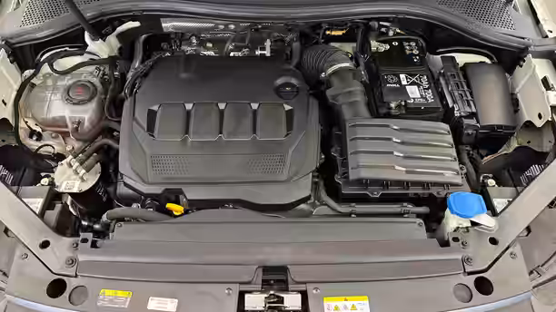 VOLKSWAGEN TIGUAN 20 / 29