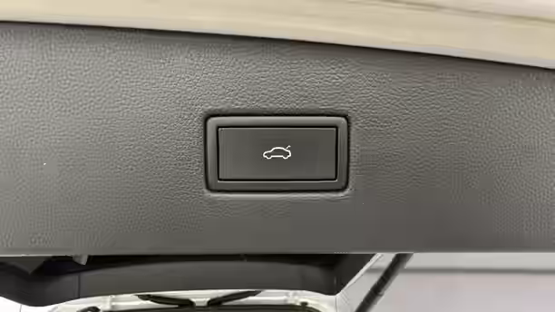VOLKSWAGEN TIGUAN 18 / 29