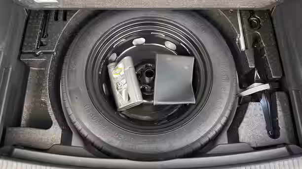 VOLKSWAGEN TIGUAN 17 / 29