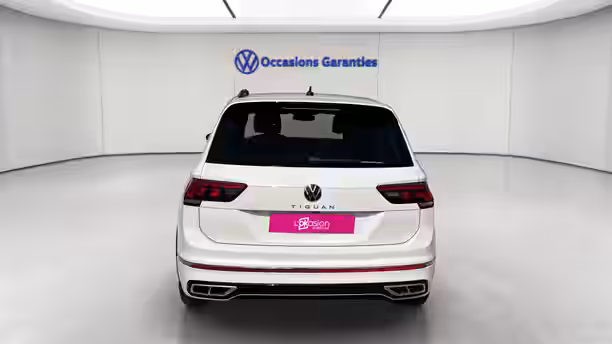 VOLKSWAGEN TIGUAN 4 / 19