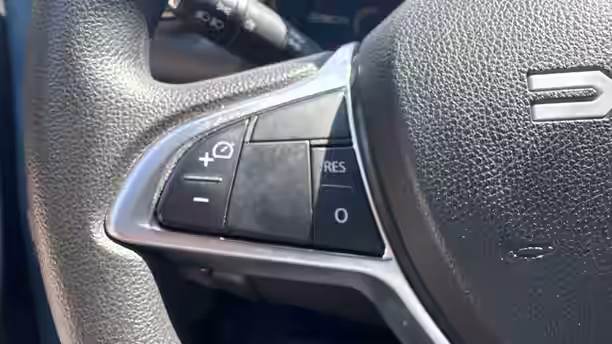 DACIA SPRING 19 / 24