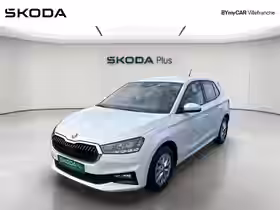 FABIA Selection 1.0 TSI 116 ch EVO 2 DSG7