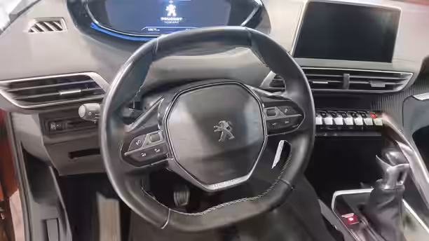 PEUGEOT 3008 10 / 21
