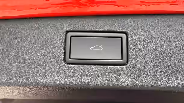 VOLKSWAGEN TIGUAN 19 / 19