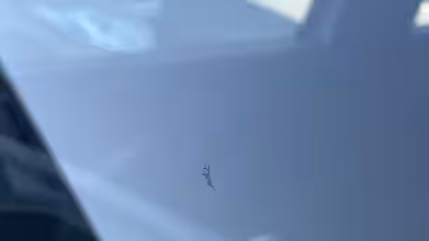 DACIA LODGY 29 / 29