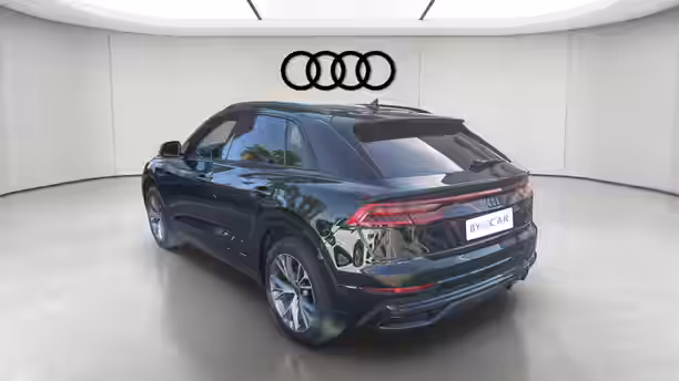 AUDI Q8 3 / 49